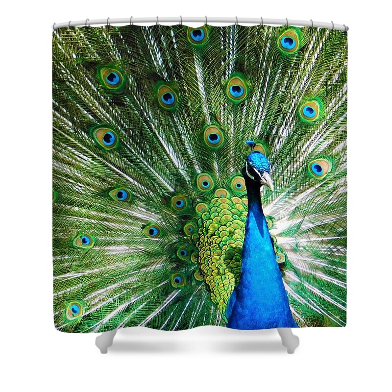 - Peacock Shower Curtain featuring the photograph - Peacock by THERESA Nye