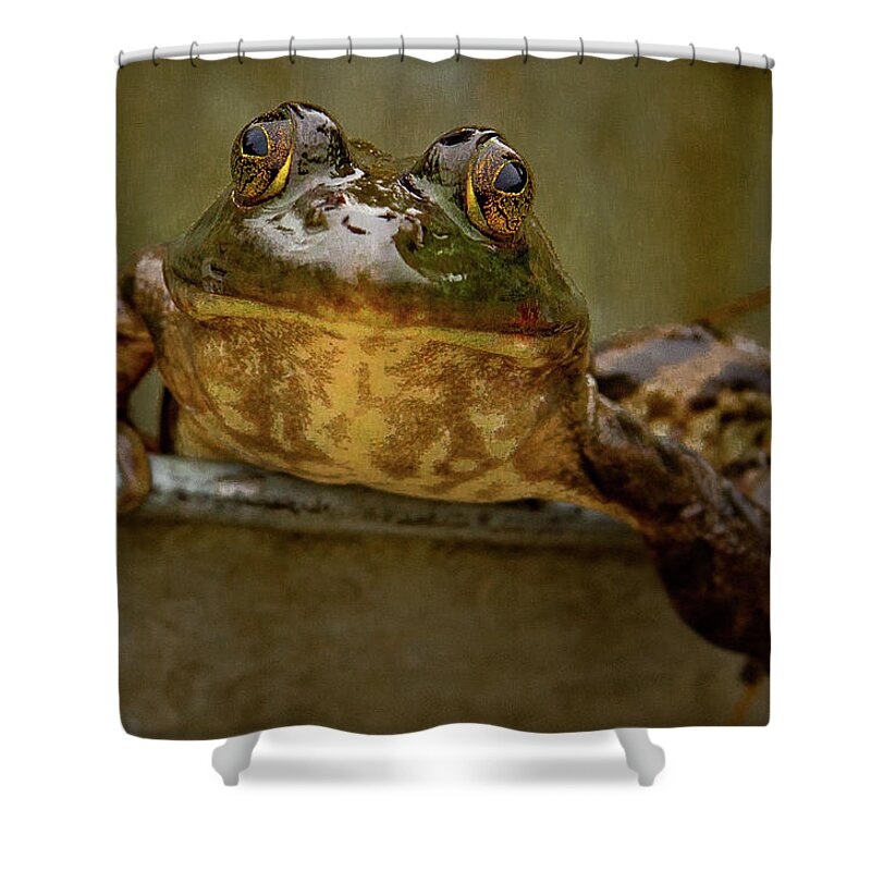 Amphibian Shower Curtain featuring the photograph Peaking OUt by Jean Noren