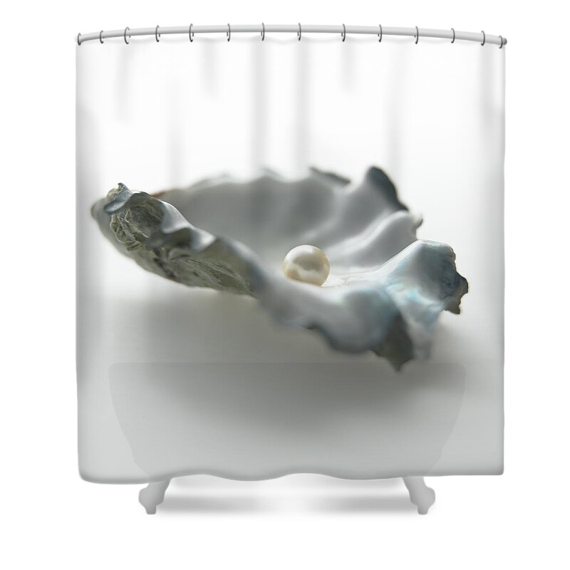 White Background Shower Curtain featuring the photograph Pearl In Oyster Shell by Biwa Studio