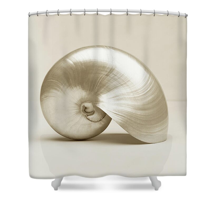 Animal Shell Shower Curtain featuring the photograph Pearlised Nautilus Sea Shell, Close-up by Finn Fox