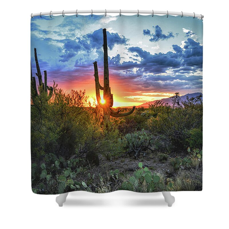 Saguaro Cactus Shower Curtain featuring the photograph Tucson, Arizona Saguaro Sunset by Chance Kafka