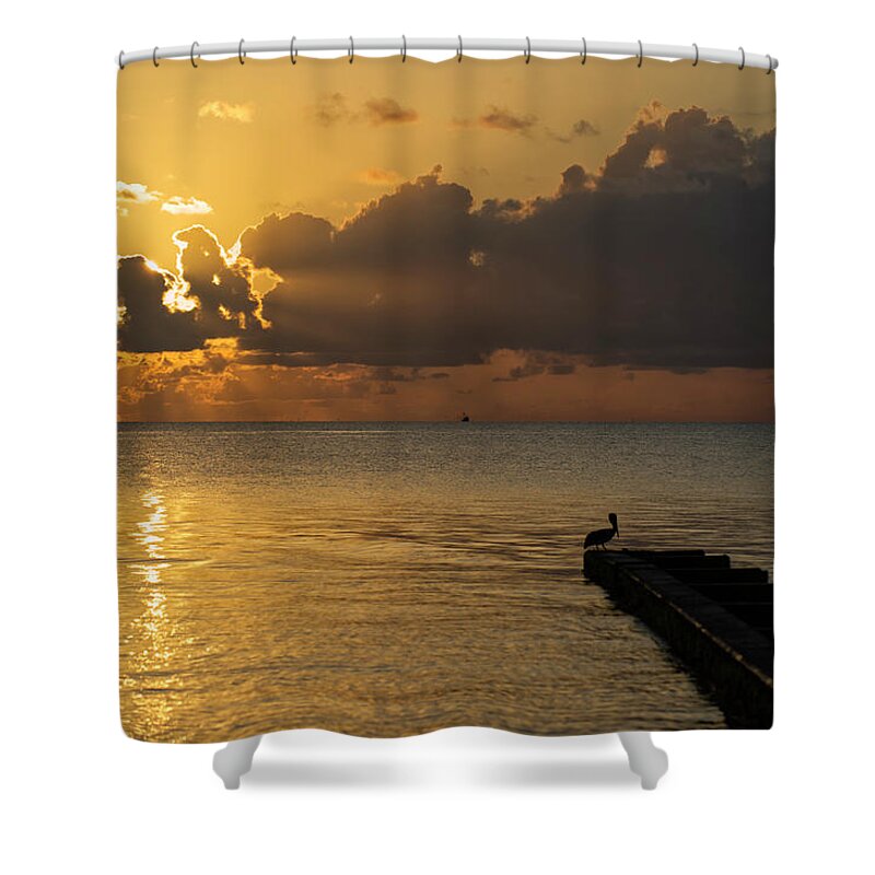 Sunrise Shower Curtain featuring the photograph Pelican Gold by Ty Husak