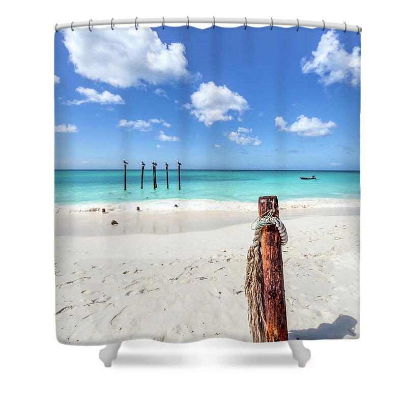 Aruba Shower Curtain featuring the photograph Pelicans Perch by David Letts