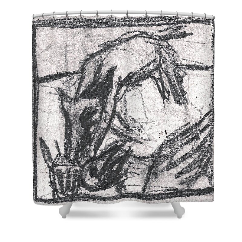 Canine Shower Curtain featuring the drawing Pencil Squares Canine f by Edgeworth Johnstone