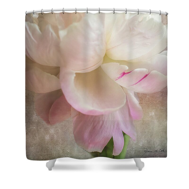 Peony Essence Shower Curtain featuring the photograph Peony Essence Square Image by Bellesouth Studio