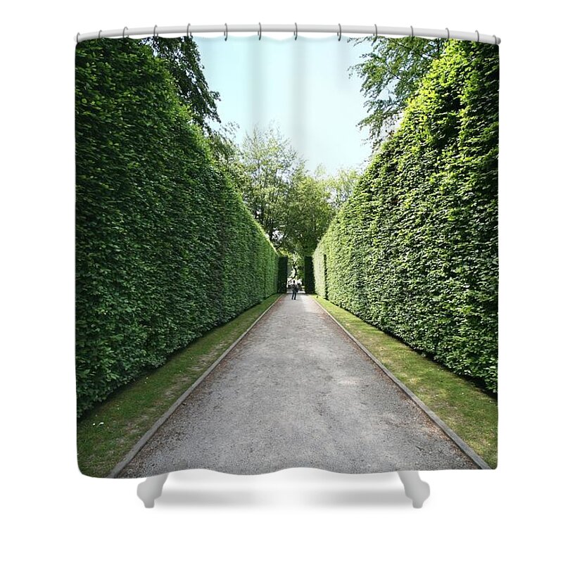 Grass Shower Curtain featuring the photograph Perspective View Of Beech Avenue by Martb