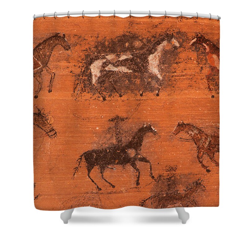 Horse Shower Curtain featuring the photograph Petroglyphs, Canyon De Chelly National by Mint Images/ Art Wolfe