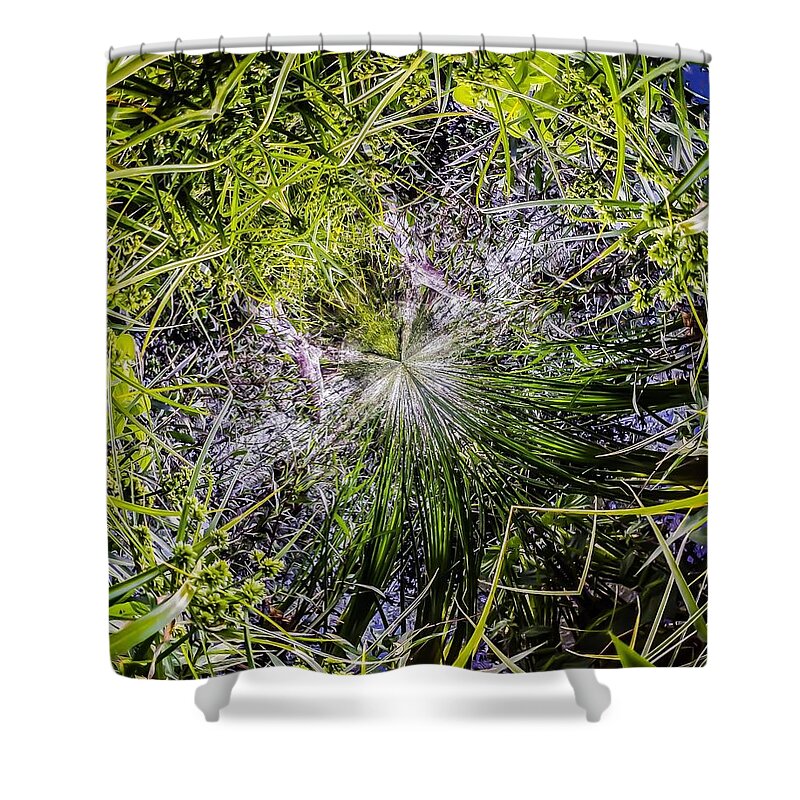 Wall Art Shower Curtain featuring the photograph Photosynthesis 2 by Callie E Austin