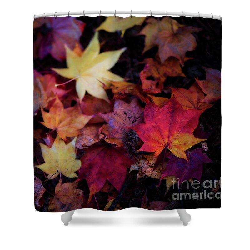 Botanical Shower Curtain featuring the photograph Pick a Color by Venetta Archer