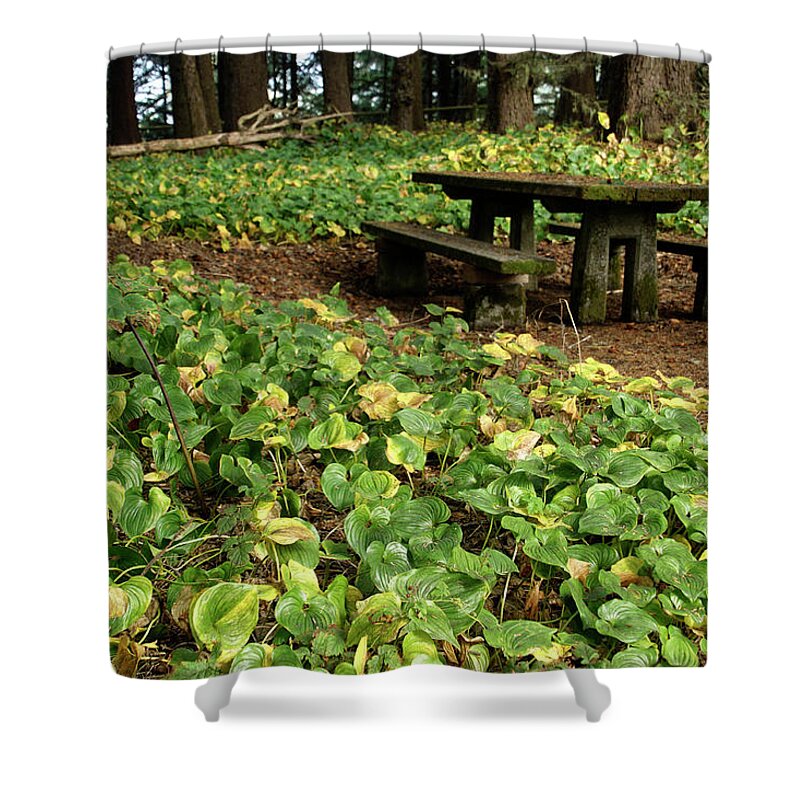 Oregon Shower Curtain featuring the photograph Picnic table in the forest by Steve Estvanik