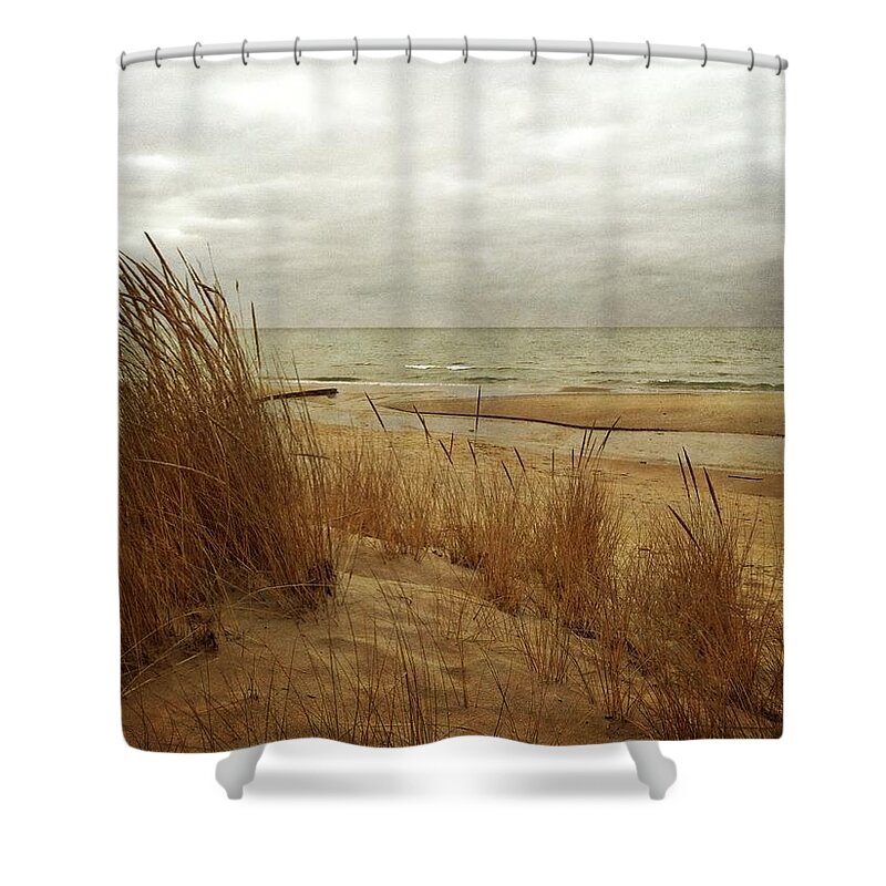 Beaches Shower Curtain featuring the photograph Pier Cove Beach with Autumn Grasses by Michelle Calkins