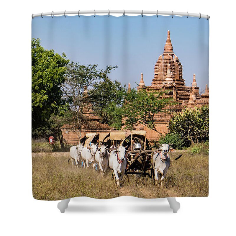 Ox Shower Curtain featuring the photograph Pilgrims leaving festival in ox drawn carts by Ann Moore