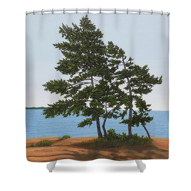Pine Tree Shower Curtain featuring the painting Pine on the Point by Kenneth M Kirsch