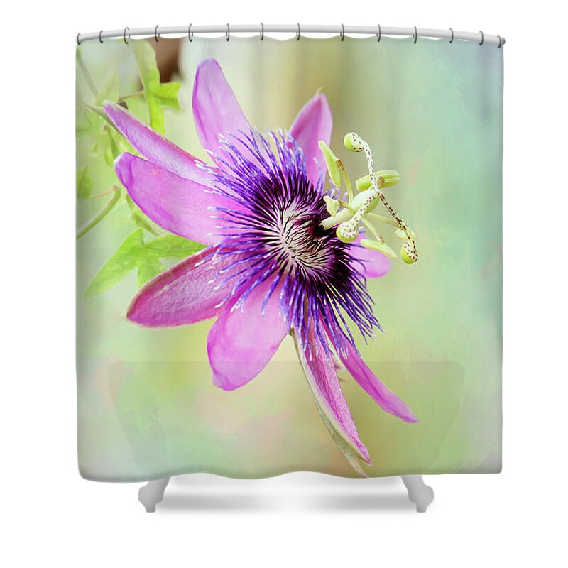 Spring Shower Curtain featuring the photograph Pink and Purple Passion by Sabrina L Ryan