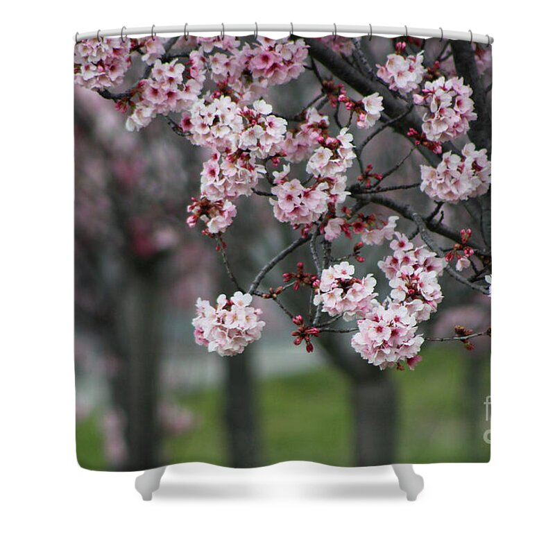 Misty Shower Curtain featuring the photograph Pink Blossoms in Foreground at Reagan Library 2 by Colleen Cornelius