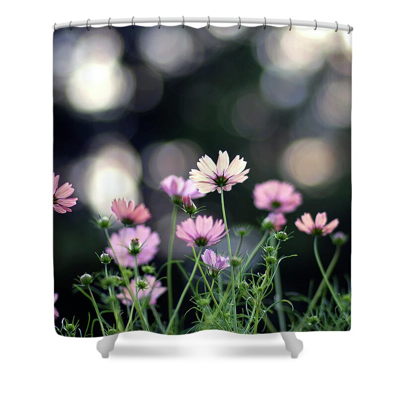 Grass Shower Curtain featuring the photograph Pink Cosmos Flower by Marie Eve K.a.