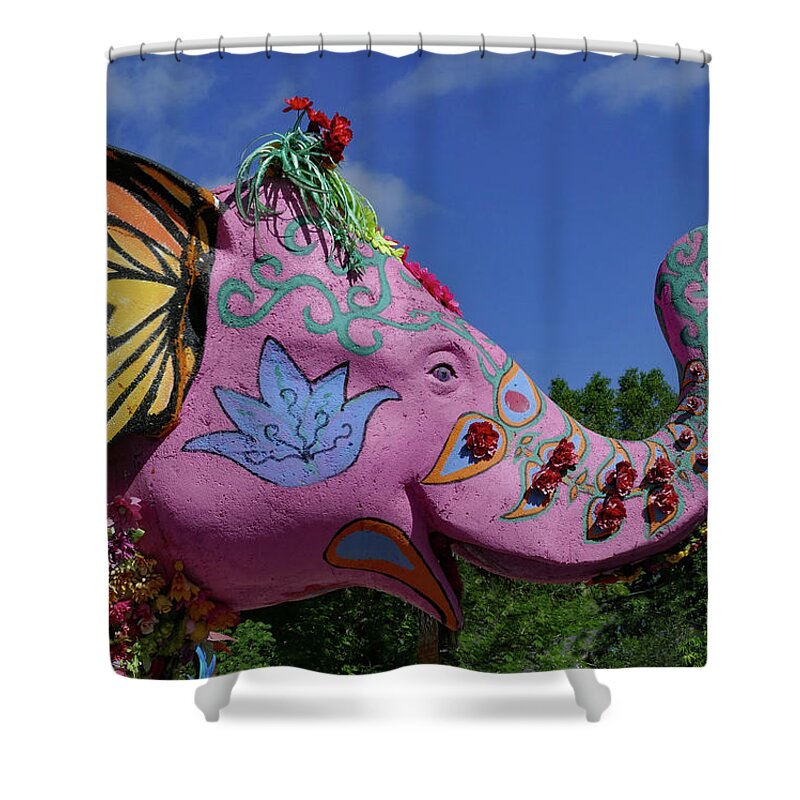 Elephant Shower Curtain featuring the photograph Pink Elephant by Margaret Zabor