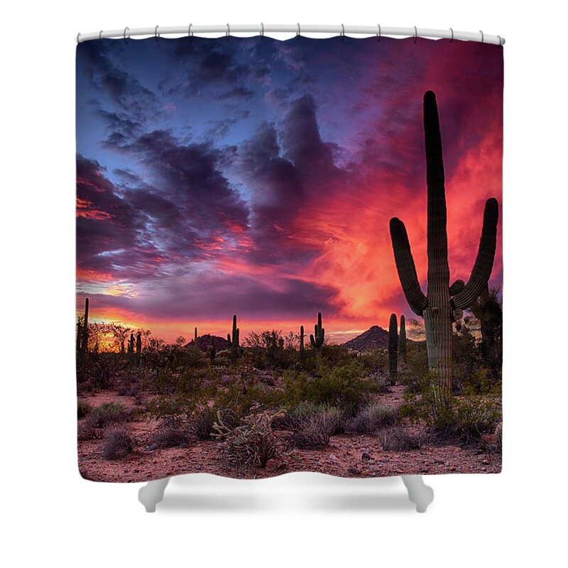 Saguaro Sunset Shower Curtain featuring the photograph Pink Fiery Sunset Skies by Saija Lehtonen