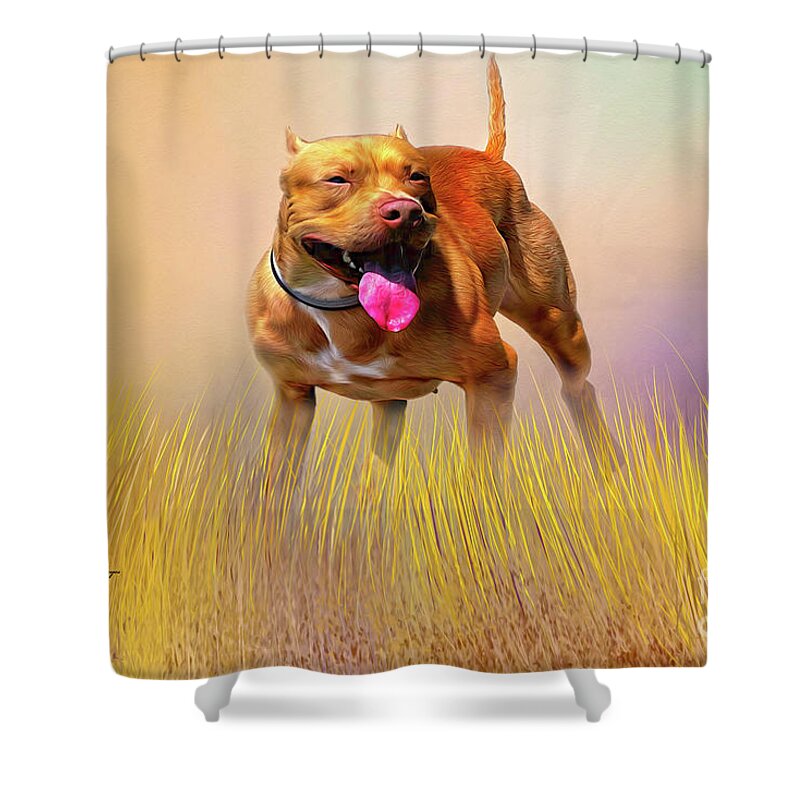 Dogs Shower Curtain featuring the mixed media Pity - A Pitbull Dog by DB Hayes