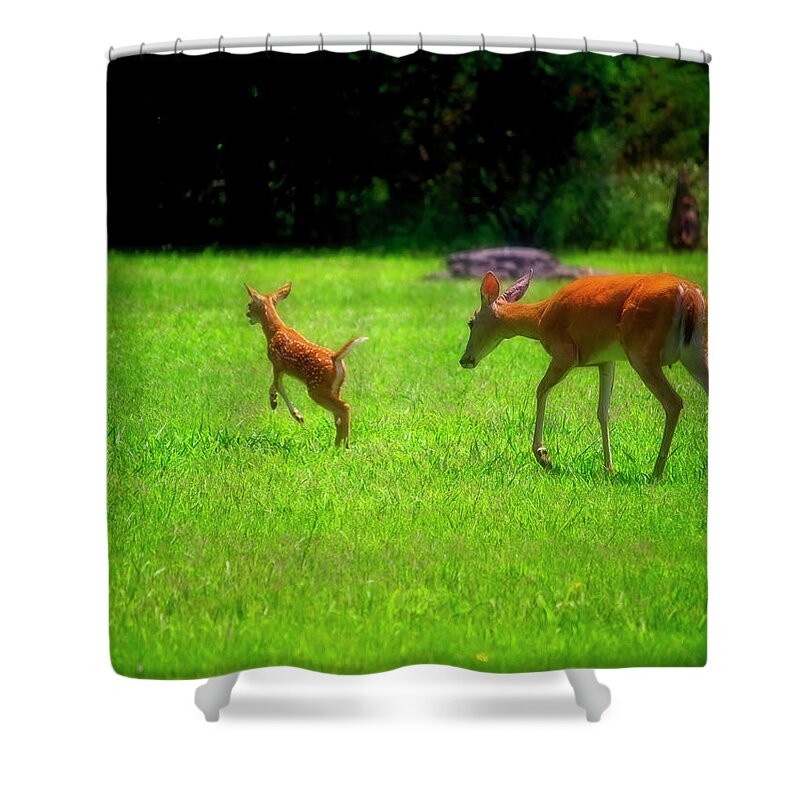 Fawn Shower Curtain featuring the photograph Playtime by Laura Vilandre