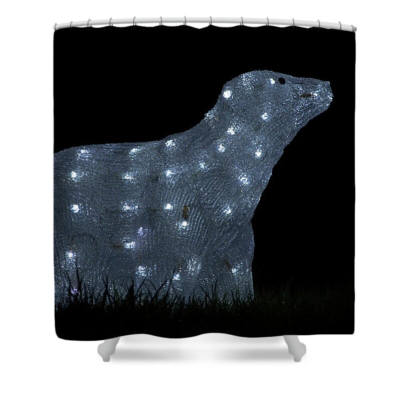 Christmas Shower Curtain featuring the photograph Polar Bear decoration by Steev Stamford