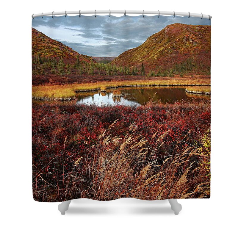 Scenics Shower Curtain featuring the photograph Pond Across From Wonder Lake by Image Courtesy Of Jeffrey D. Walters