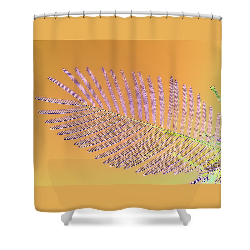 Pond Pine Shower Curtain featuring the photograph Pond Pine_3 by Pics By Tony