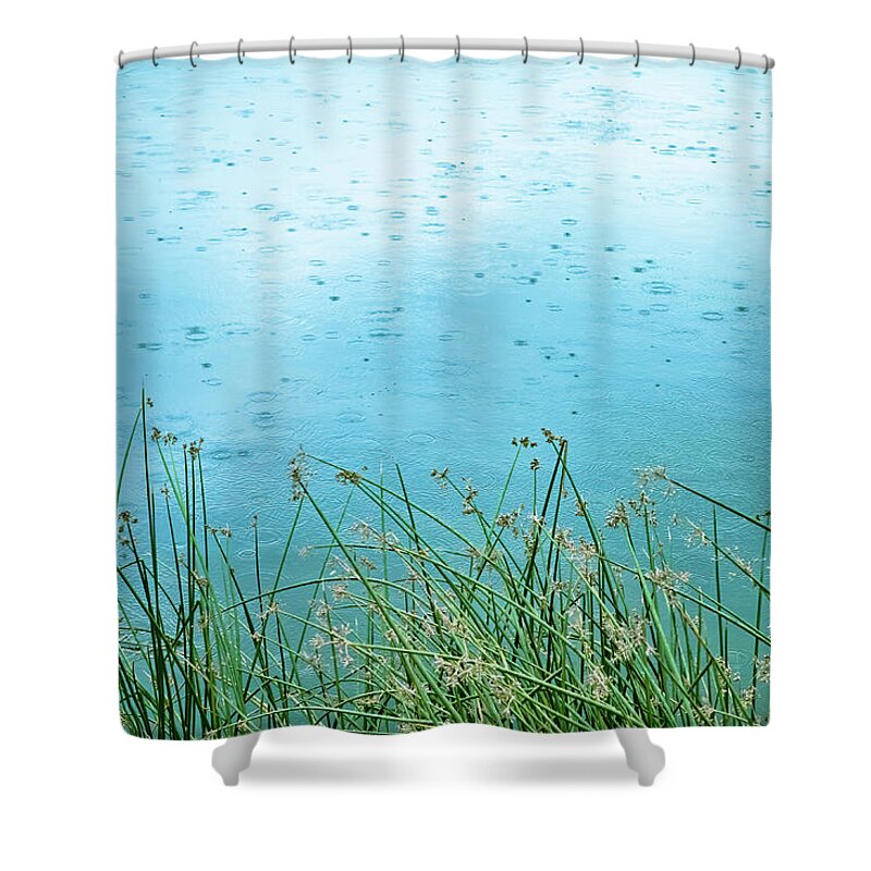 Water's Edge Shower Curtain featuring the photograph Pond, Reeds & Rain - Nature Background by Debibishop
