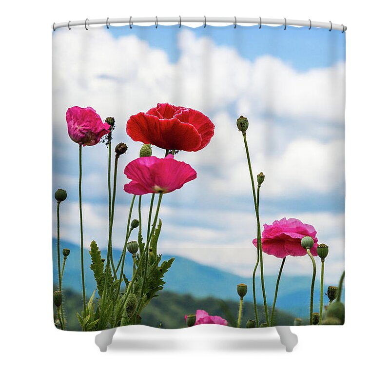 Poppies Shower Curtain featuring the photograph Poppies in the Sky by Lisa Lemmons-Powers