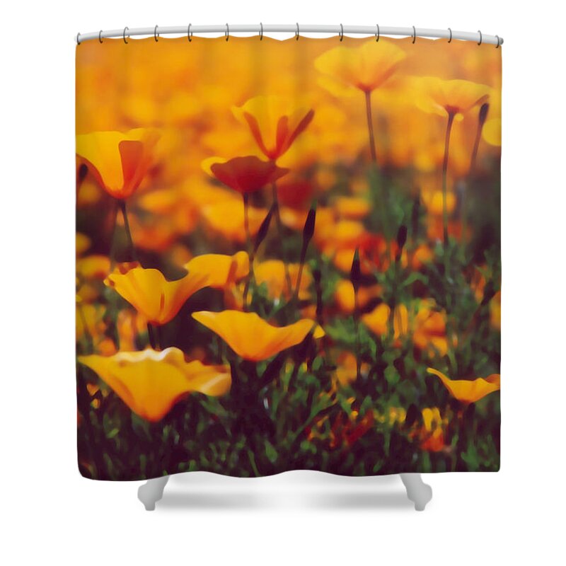 Poppy Shower Curtain featuring the photograph Poppies Into Distance by Heather Kirk