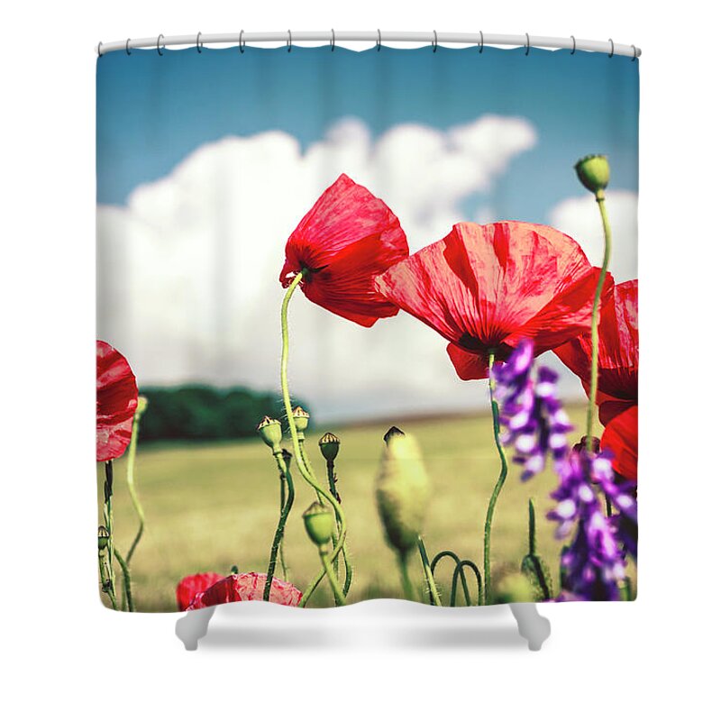 Bud Shower Curtain featuring the photograph Poppy Bokeh Fields by Sascha Kilmer