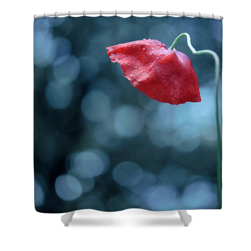 Petal Shower Curtain featuring the photograph Poppy With Dew Drops by Alexandre Fp