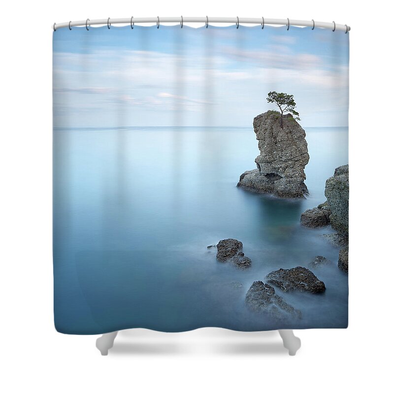 Aerial Shower Curtain featuring the photograph Pine Tree Rock in Portofino by Stefano Orazzini