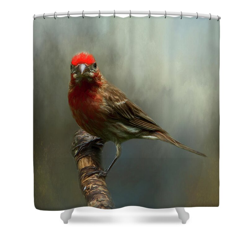Avian Shower Curtain featuring the photograph Portrait of a House Finch by Cathy Kovarik