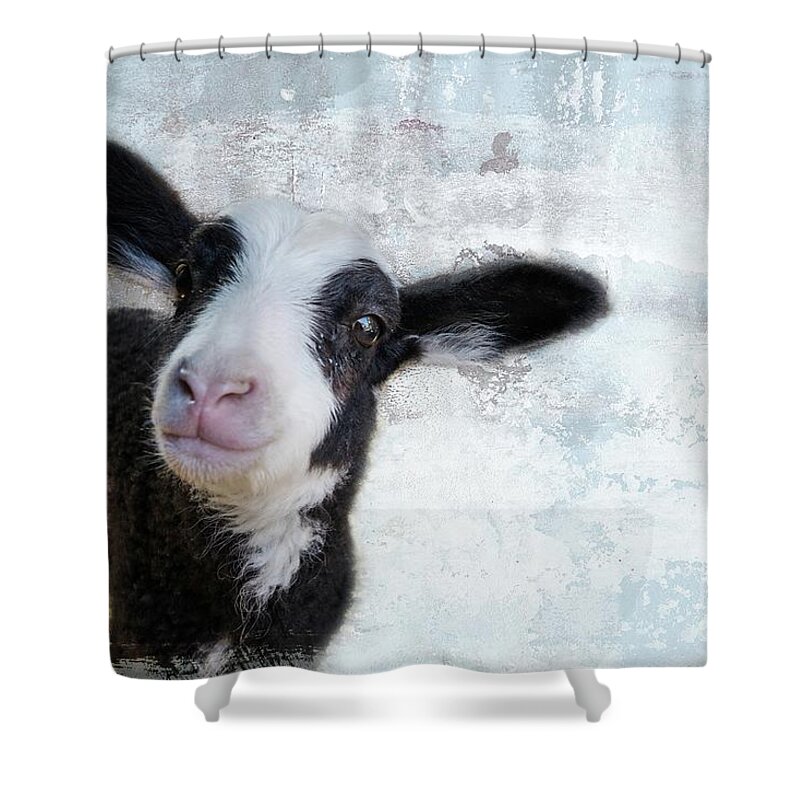 Lamb Shower Curtain featuring the mixed media Portrait of a Lamb by Eva Lechner