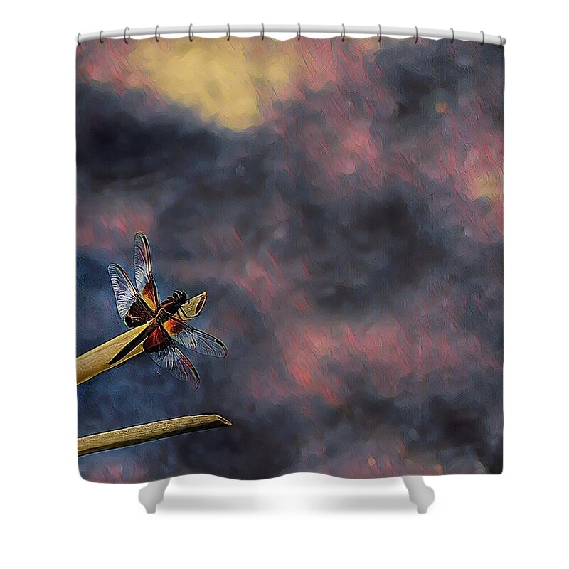 Dragonfly Shower Curtain featuring the photograph Portrait Of A Widow Skimmer by Mark Fuller