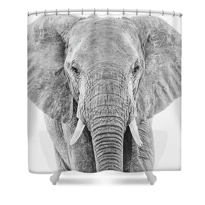 Elephant Shower Curtain featuring the photograph Portrait of an African Elephant Bull in Monochrome by Mark Hunter