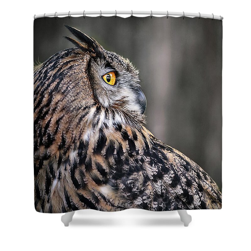 Portrait Of An Owl Shower Curtain featuring the photograph Portrait Of An Owl by Wes and Dotty Weber