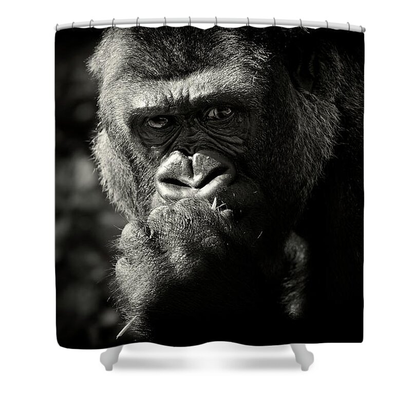 Animal Themes Shower Curtain featuring the photograph Portrait Of Gorilla by Markbridger