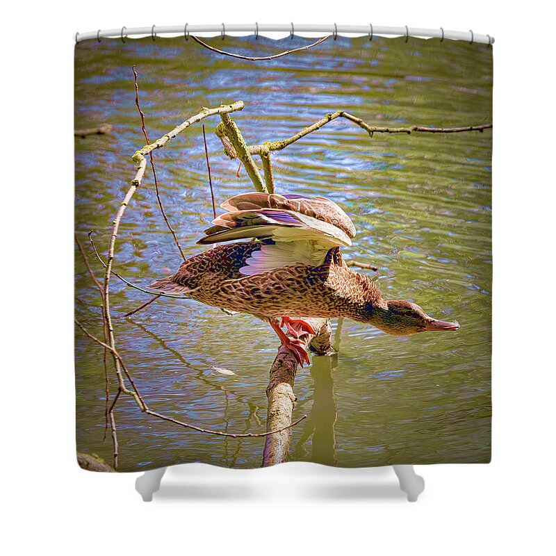 Posing Model Shower Curtain featuring the photograph Posing Model #i0 by Leif Sohlman