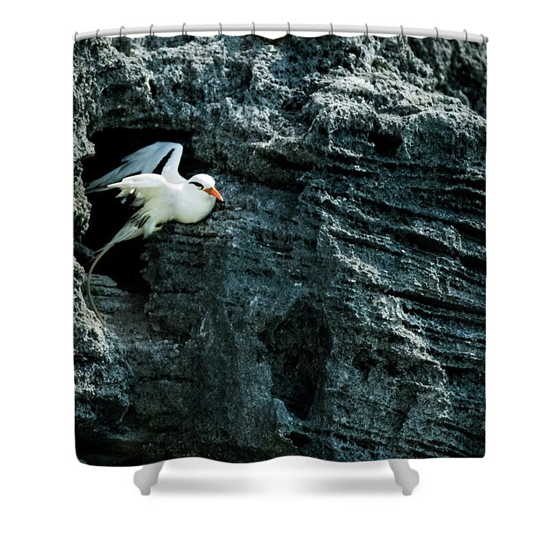 Atlantic Shower Curtain featuring the photograph Prepare for Departure by Jeff at JSJ Photography