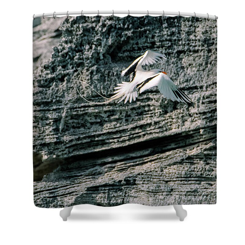 Atlantic Shower Curtain featuring the photograph Prepare for Landing by Jeff at JSJ Photography