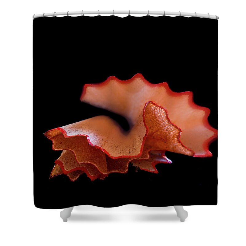 Black Background Shower Curtain featuring the photograph Prepared by Mse