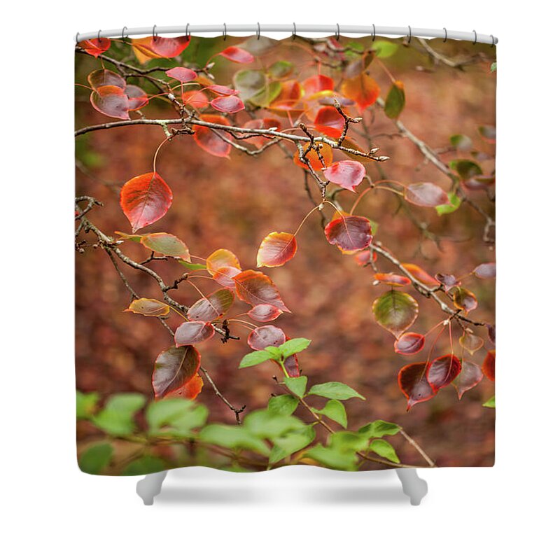 Autumn Leaves Shower Curtain featuring the photograph Prepping For Winter by Az Jackson