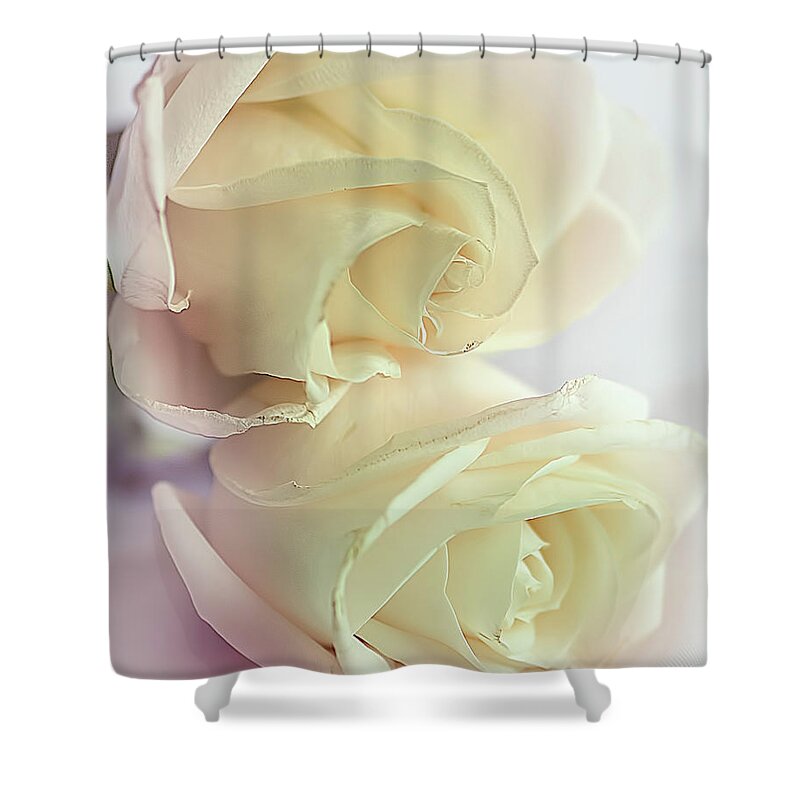 Roses Shower Curtain featuring the photograph Pretty wilting white roses with pink tinge by Cordia Murphy