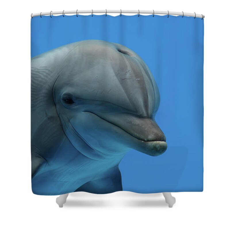 Underwater Shower Curtain featuring the photograph Primer Plano Delfin by Alba Guapo