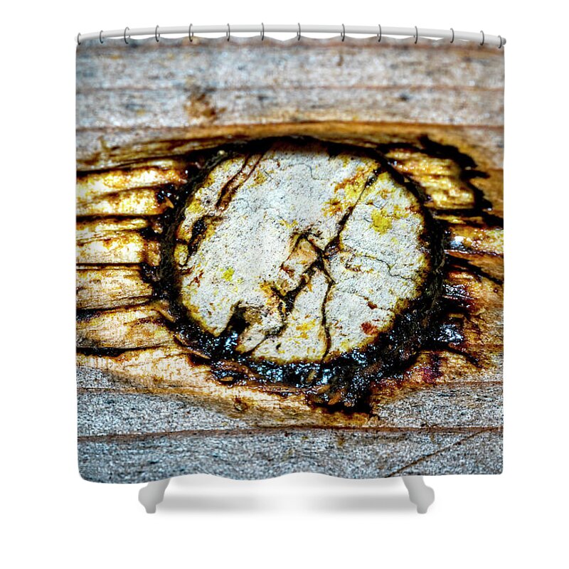 Wood Shower Curtain featuring the photograph Propolis by Shawn Jeffries
