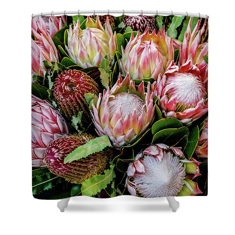 Floral Shower Curtain featuring the photograph Protea, Exotic Beauty of South Africa by Marcy Wielfaert