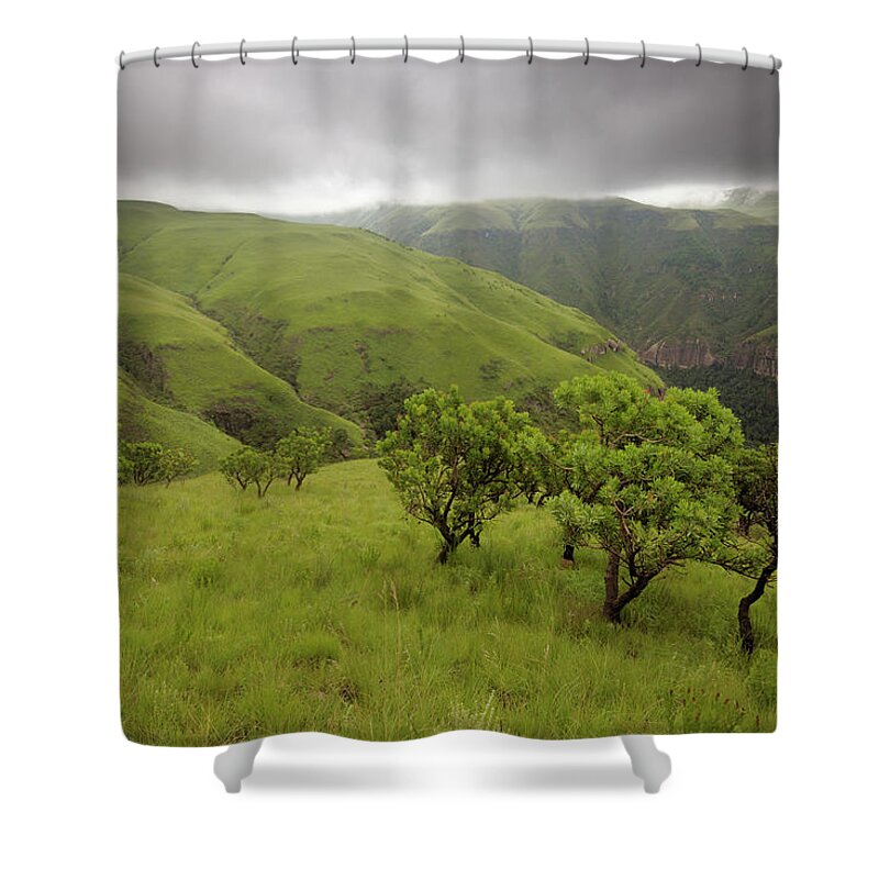 Scenics Shower Curtain featuring the photograph Protea Trees Overlooking A Grassy by Emil Von Maltitz