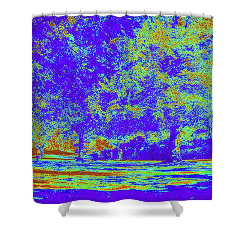Manchester Shower Curtain featuring the photograph Psychedelic Toile Park by Tikvah's Hope